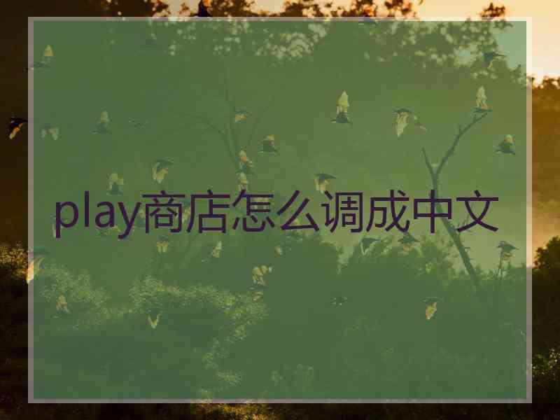 play商店怎么调成中文