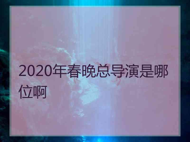 2020年春晚总导演是哪位啊