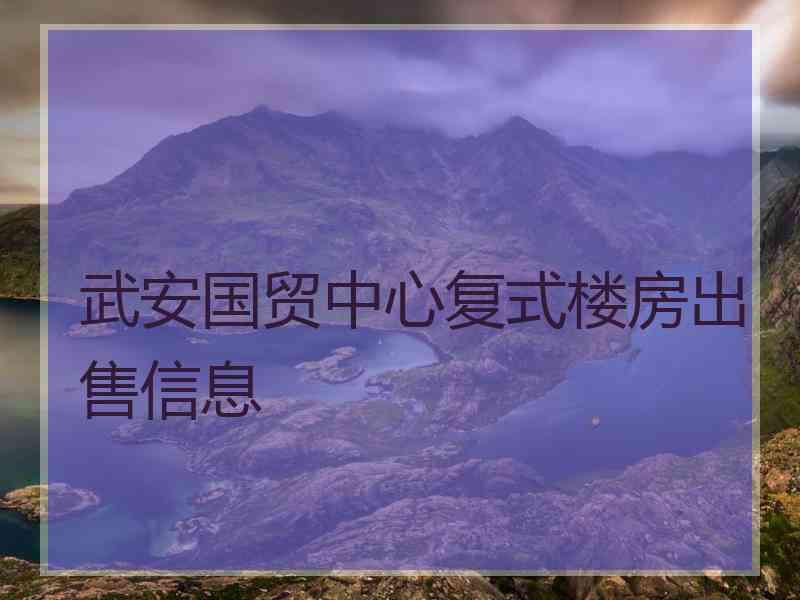 武安国贸中心复式楼房出售信息