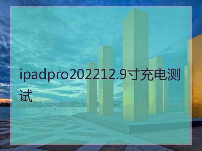 ipadpro202212.9寸充电测试