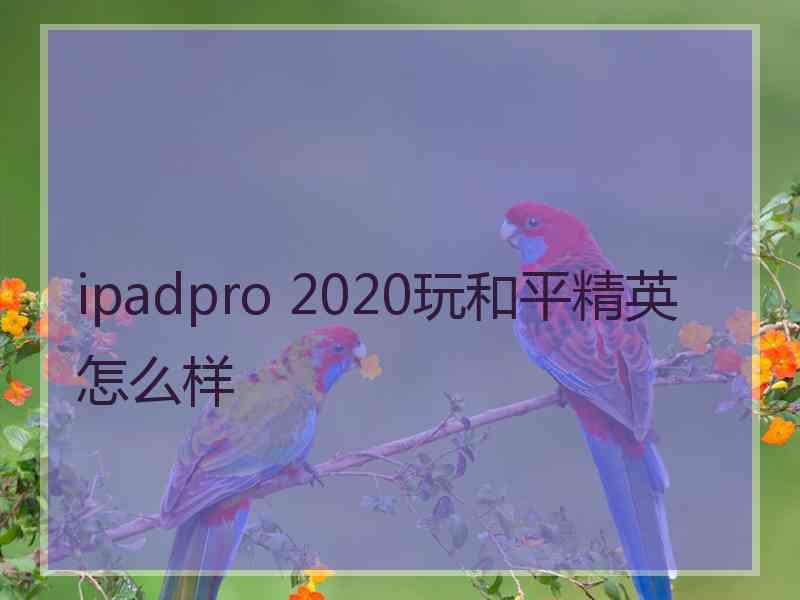 ipadpro 2020玩和平精英怎么样