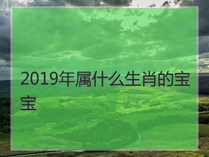 2019年属什么生肖的宝宝