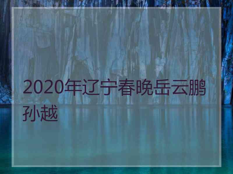 2020年辽宁春晚岳云鹏孙越