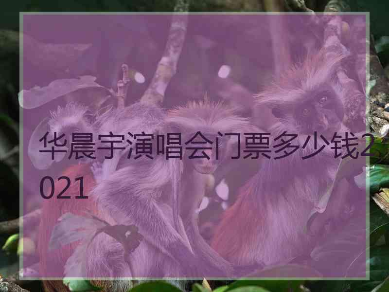 华晨宇演唱会门票多少钱2021