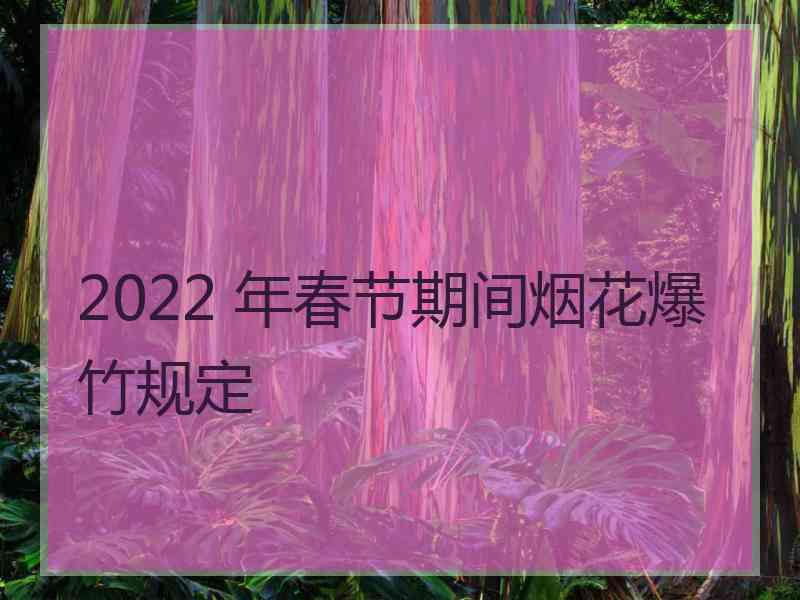 2022 年春节期间烟花爆竹规定