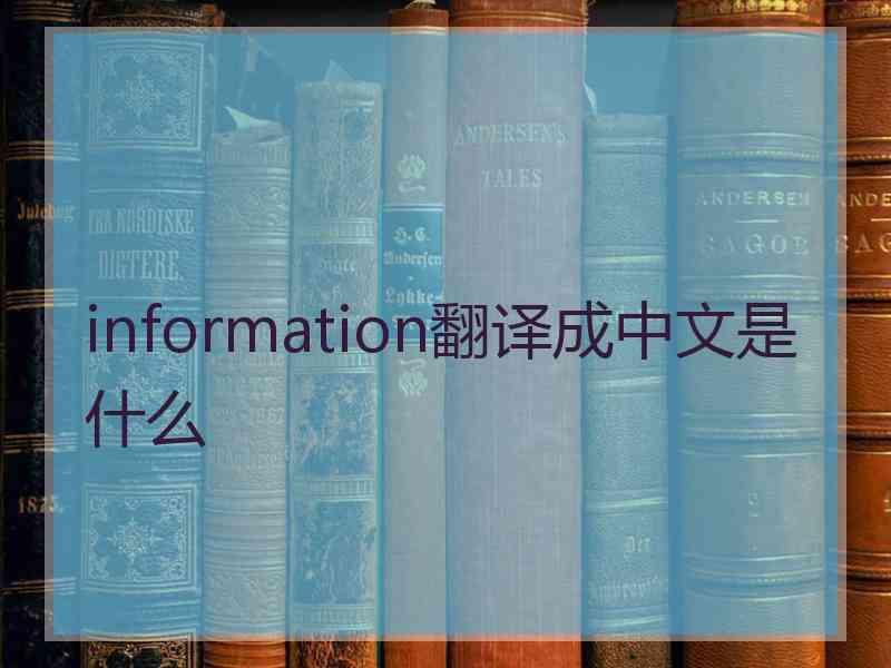 information翻译成中文是什么