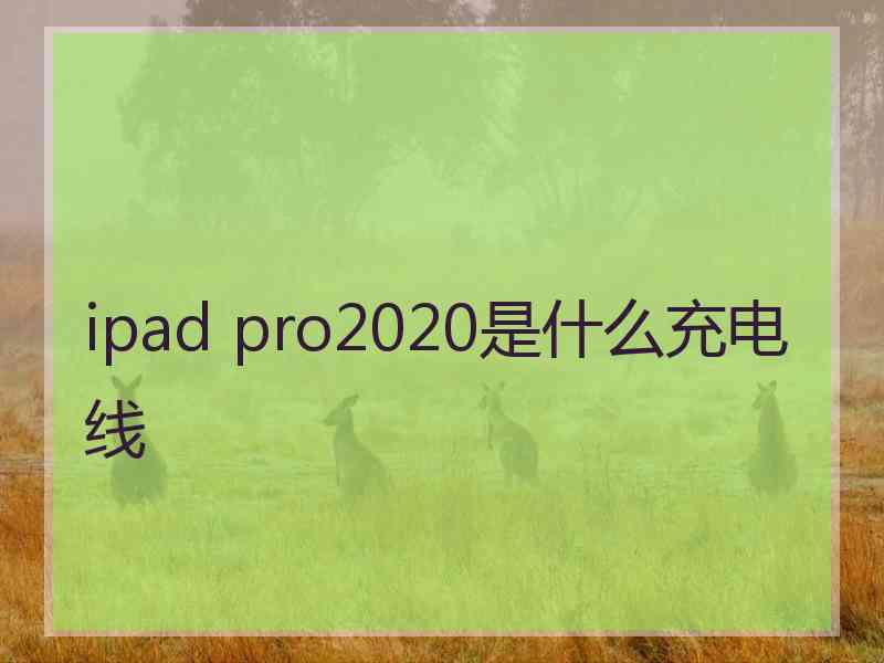 ipad pro2020是什么充电线