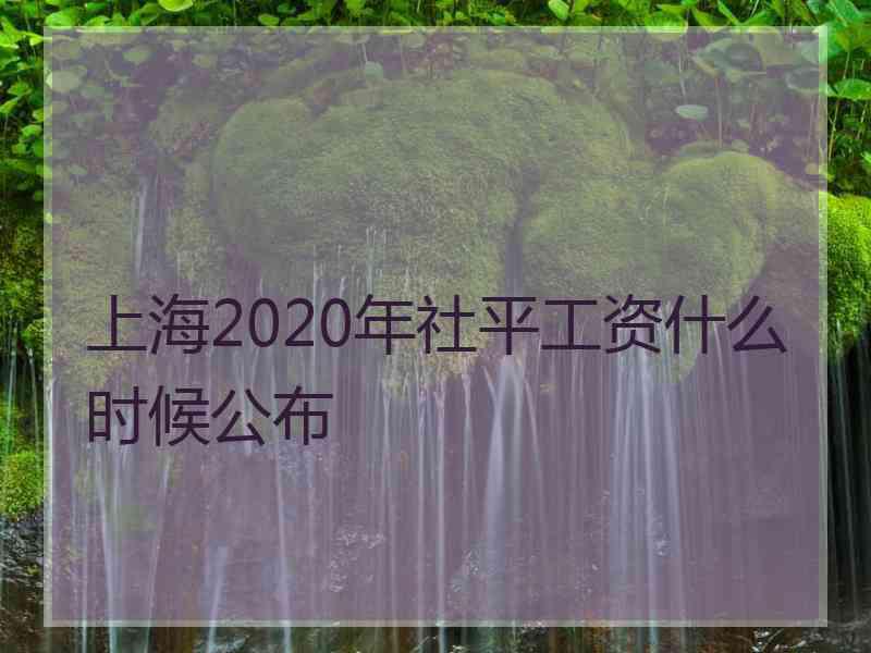 上海2020年社平工资什么时候公布