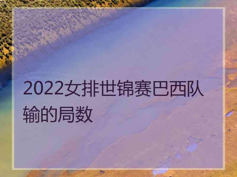 2022女排世锦赛巴西队输的局数