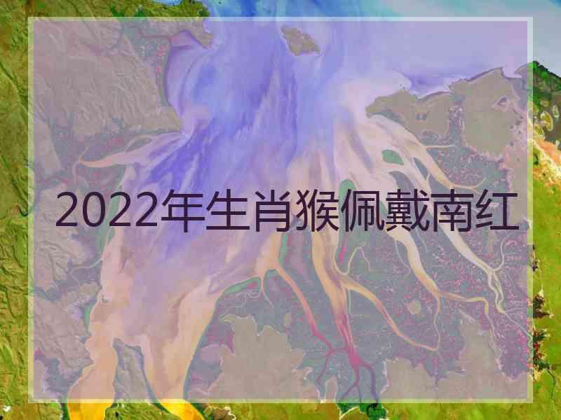 2022年生肖猴佩戴南红