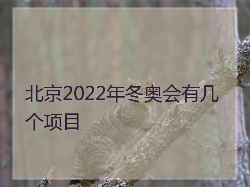 北京2022年冬奥会有几个项目