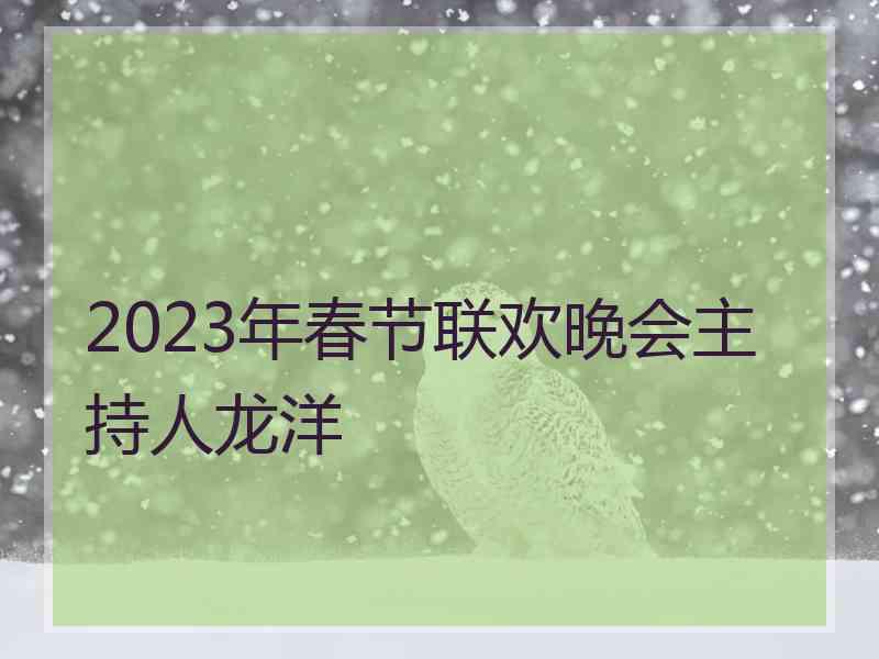 2023年春节联欢晚会主持人龙洋