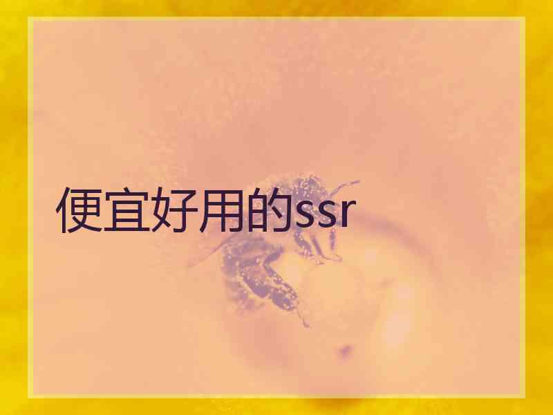 便宜好用的ssr