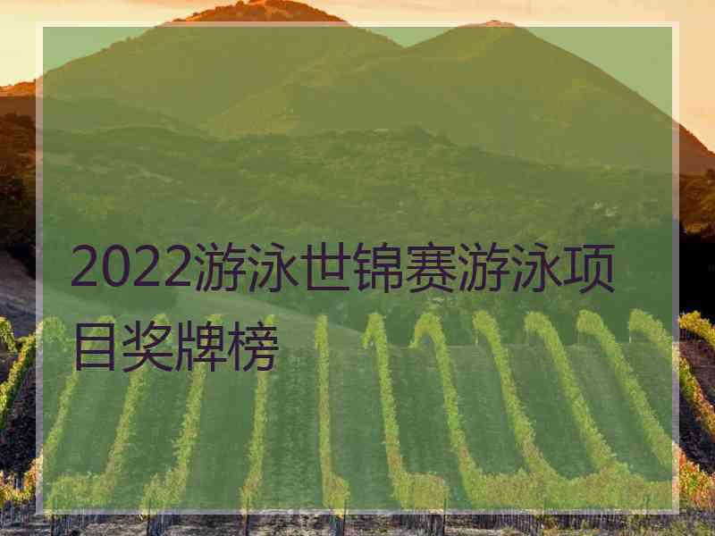 2022游泳世锦赛游泳项目奖牌榜