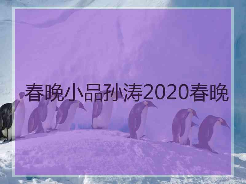 春晚小品孙涛2020春晚