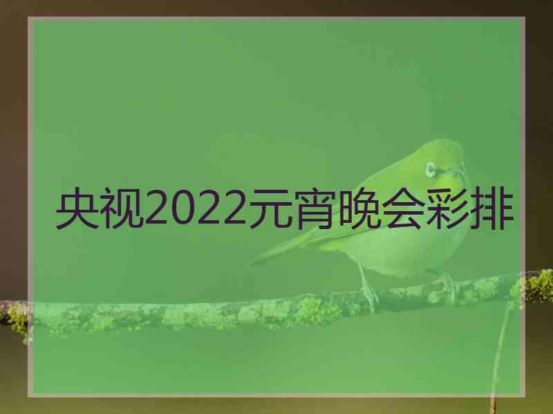 央视2022元宵晚会彩排