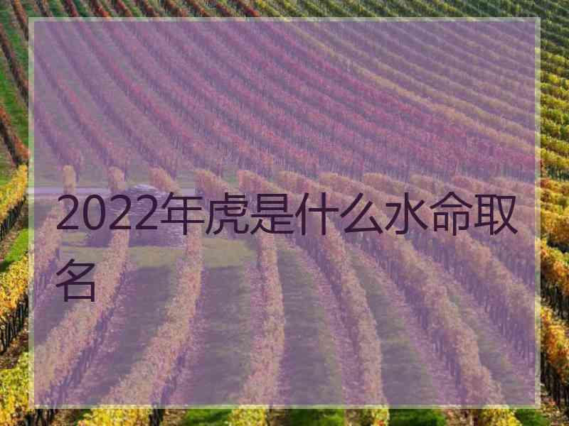 2022年虎是什么水命取名