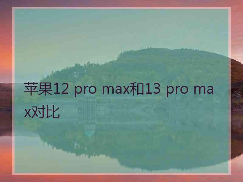 苹果12 pro max和13 pro max对比