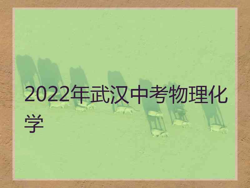 2022年武汉中考物理化学