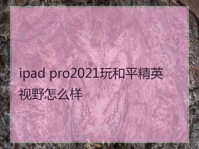 ipad pro2021玩和平精英视野怎么样