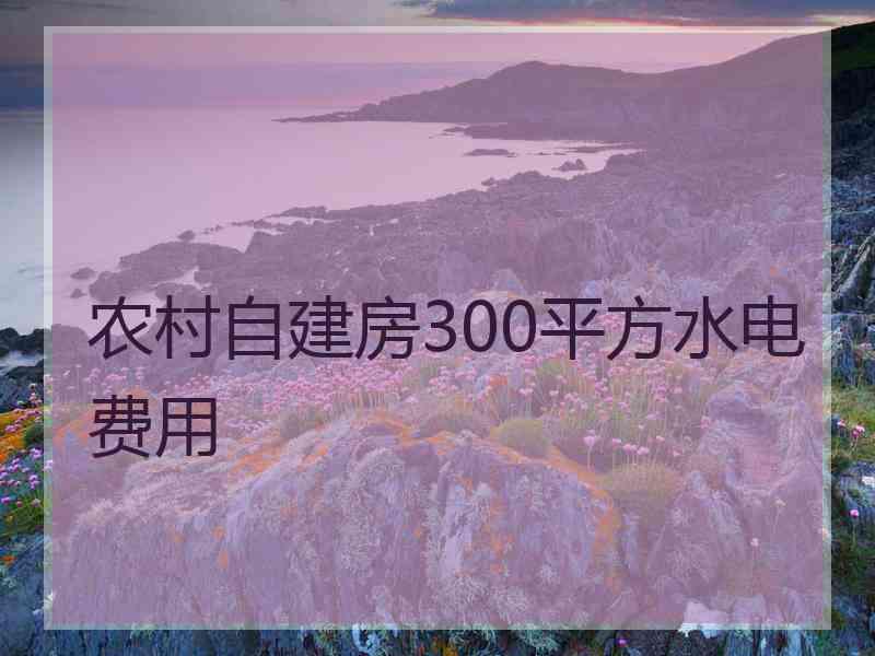 农村自建房300平方水电费用