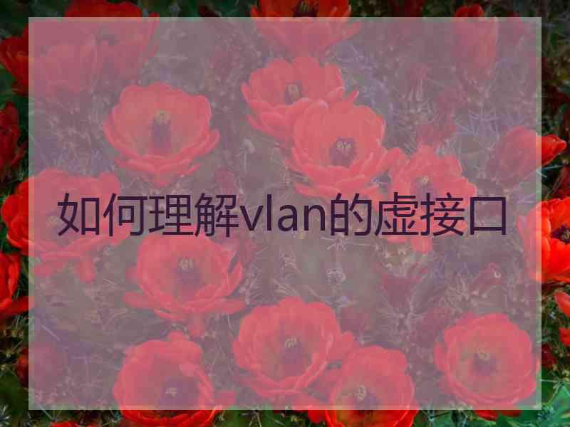 如何理解vlan的虚接口