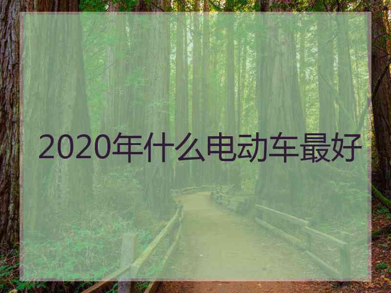 2020年什么电动车最好