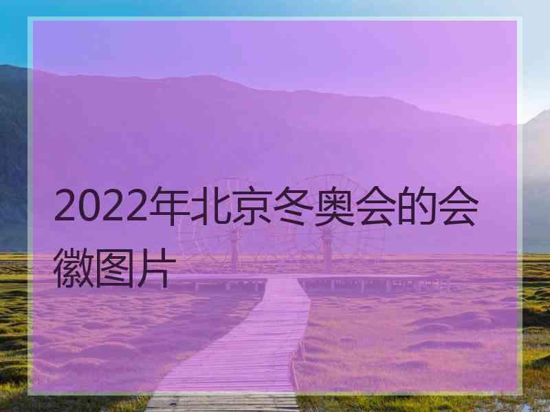 2022年北京冬奥会的会徽图片