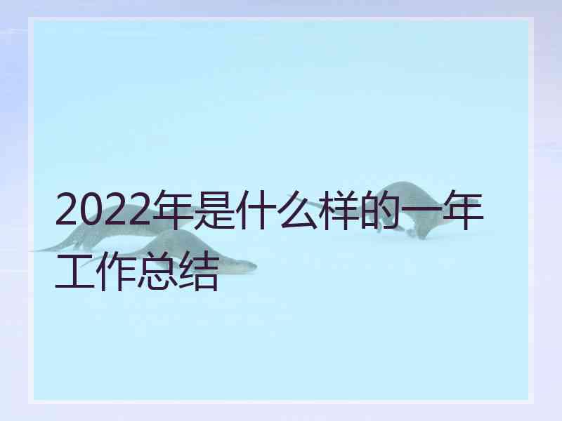 2022年是什么样的一年工作总结