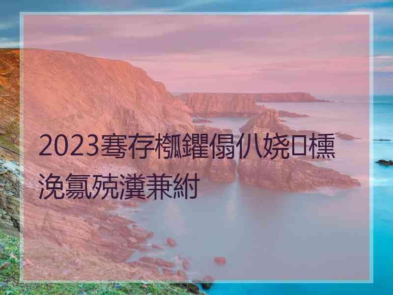 2023骞存槬鑺傝仈娆㈡櫄浼氱殑瀵兼紨