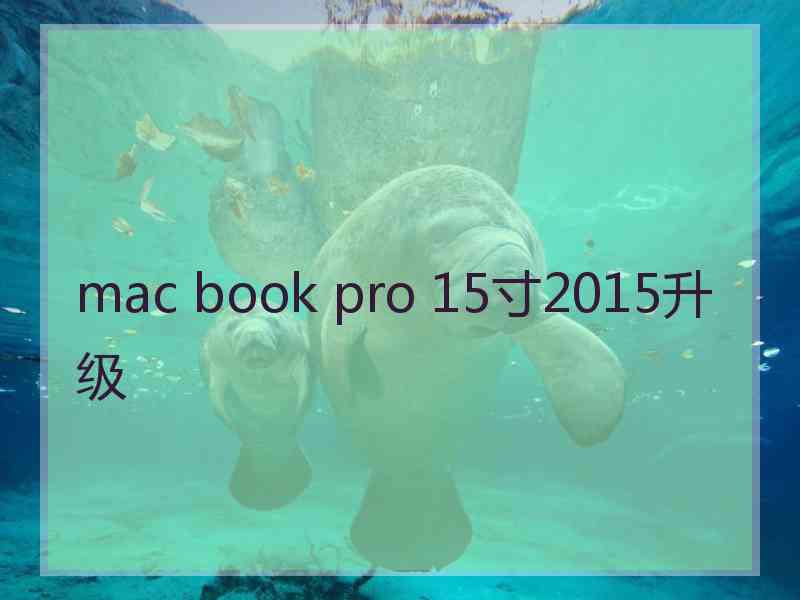 mac book pro 15寸2015升级