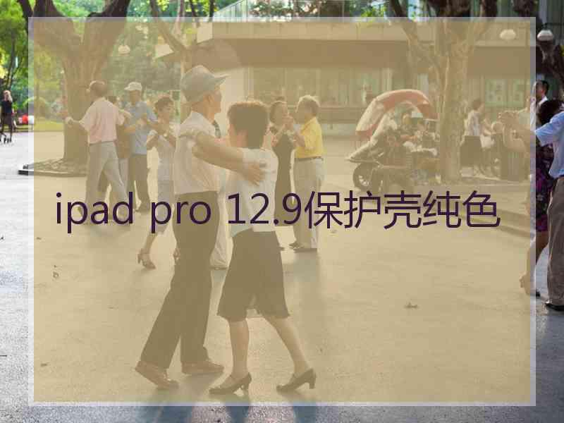 ipad pro 12.9保护壳纯色