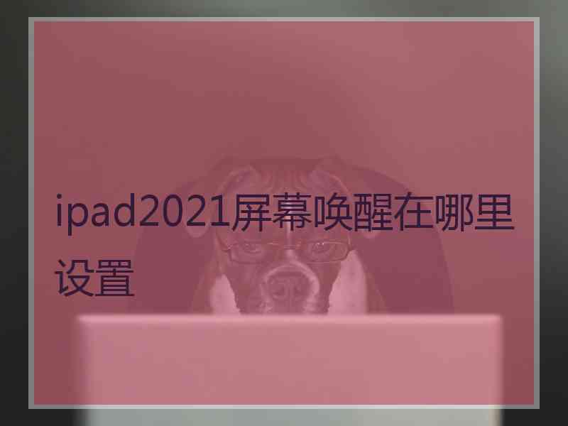 ipad2021屏幕唤醒在哪里设置