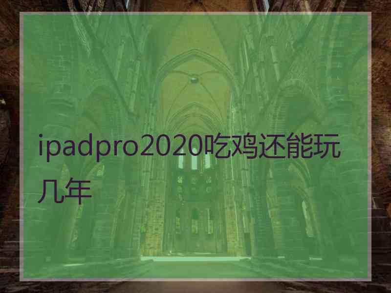 ipadpro2020吃鸡还能玩几年