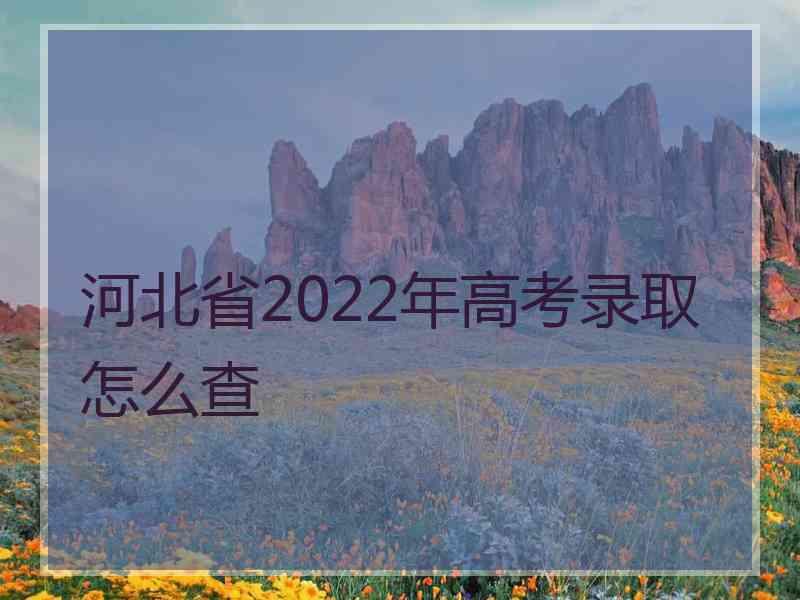 河北省2022年高考录取怎么查