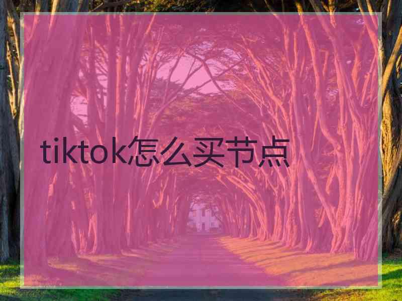 tiktok怎么买节点