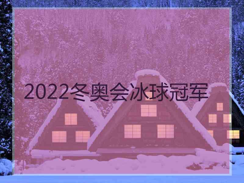 2022冬奥会冰球冠军