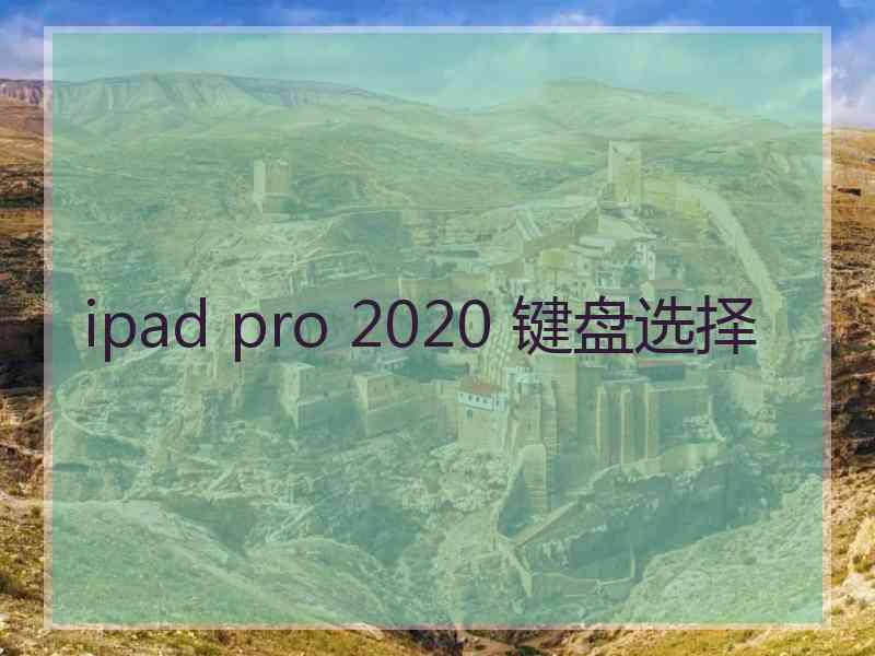 ipad pro 2020 键盘选择