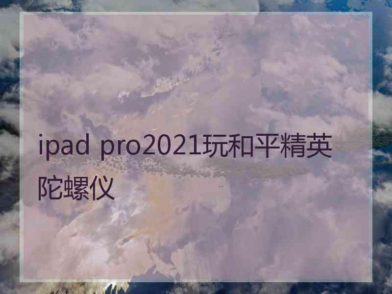 ipad pro2021玩和平精英陀螺仪