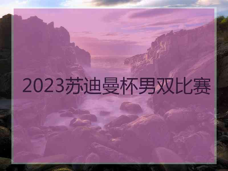 2023苏迪曼杯男双比赛