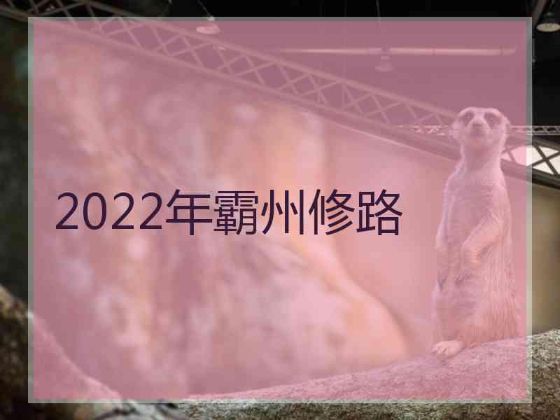 2022年霸州修路