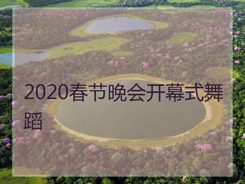 2020春节晚会开幕式舞蹈