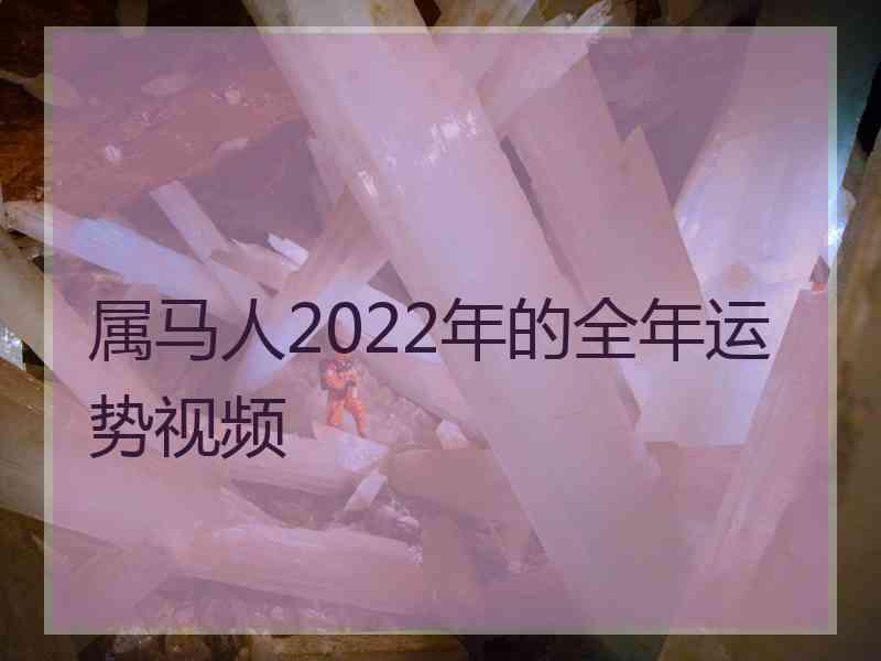 属马人2022年的全年运势视频