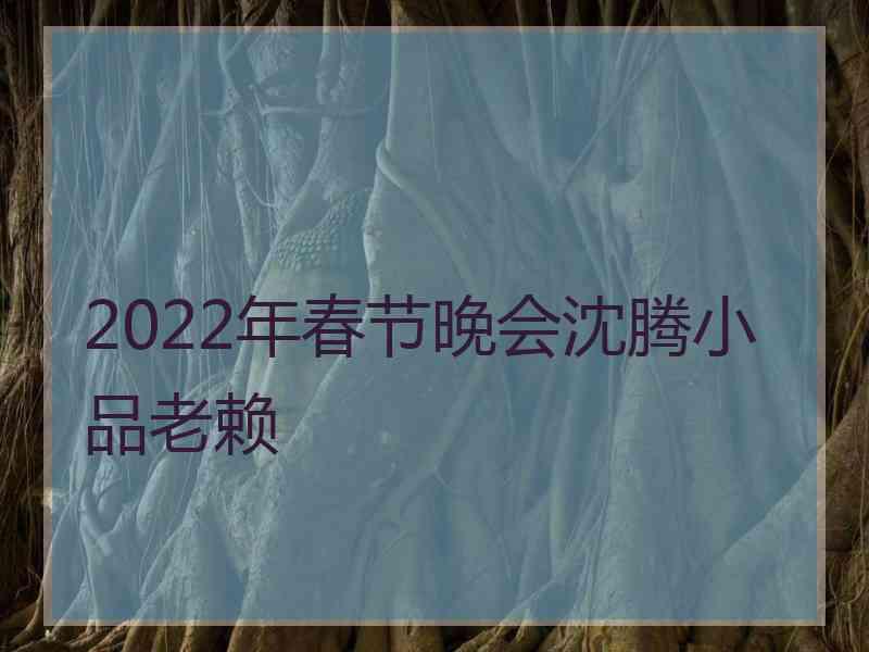 2022年春节晚会沈腾小品老赖