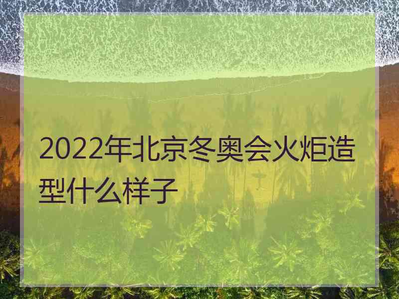 2022年北京冬奥会火炬造型什么样子