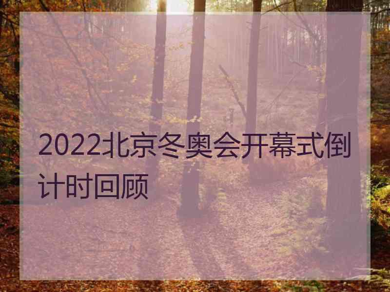 2022北京冬奥会开幕式倒计时回顾