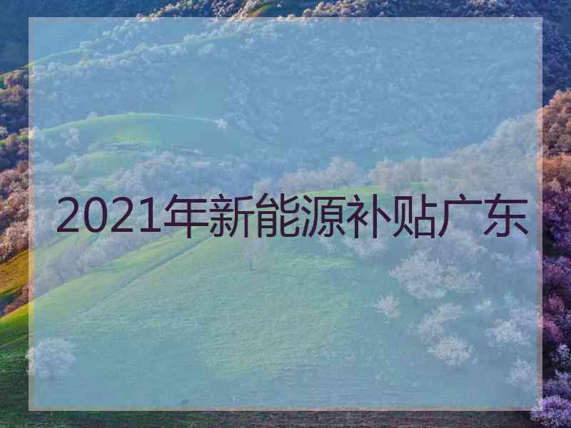 2021年新能源补贴广东