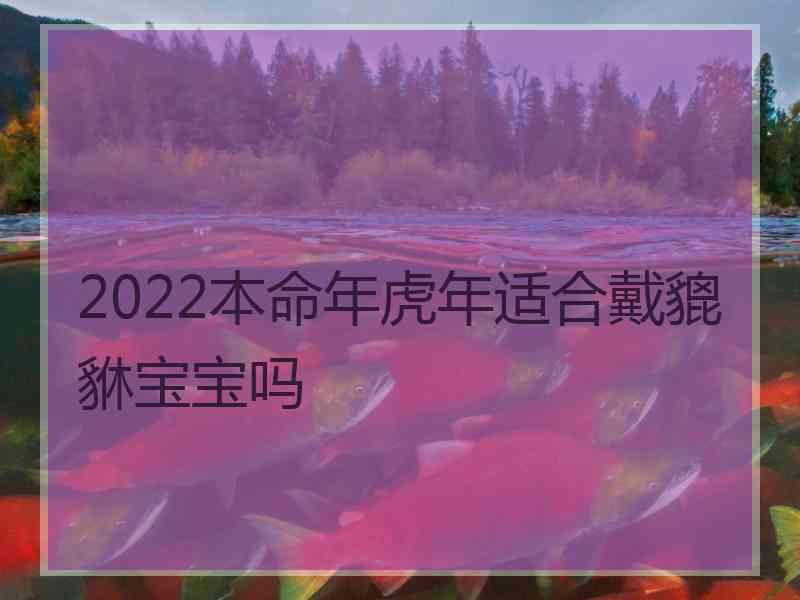 2022本命年虎年适合戴貔貅宝宝吗