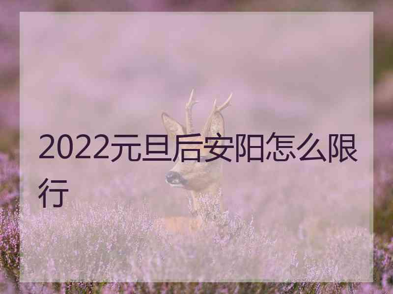 2022元旦后安阳怎么限行