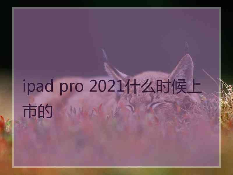 ipad pro 2021什么时候上市的